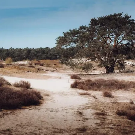 Sfeervol Houten Met Veranda Aan Het Water! * 훌쇼스트