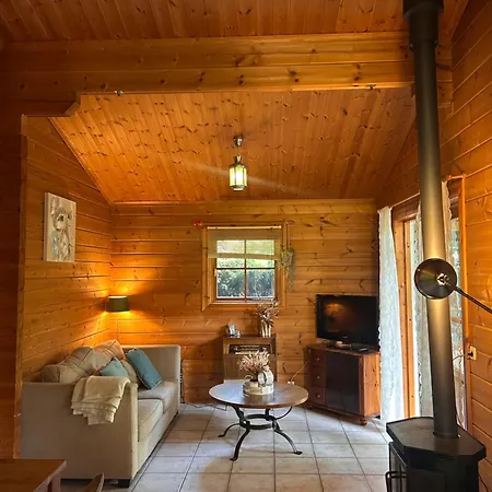 Scandinavische Met Veranda Aan Het Water! Hulshorst